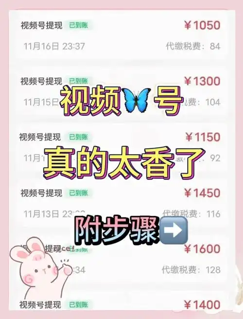 53seo如何让网站排名飞升？首页流量暴增的核心密码是什么？