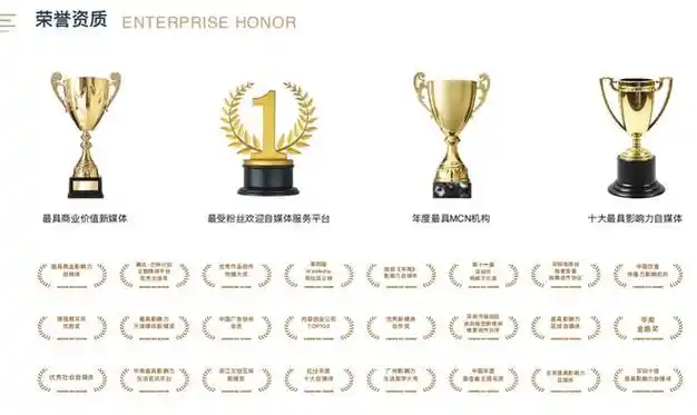 酉阳省心seo推广效果到底如何，靠谱的优化公司该怎么找？