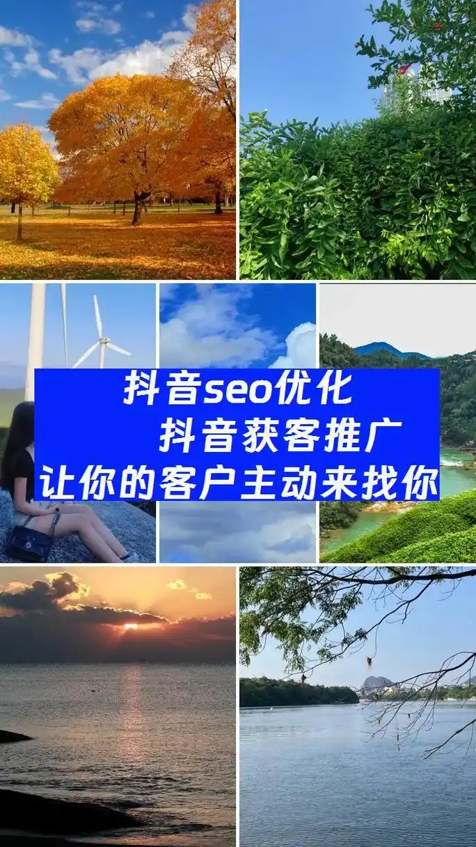 宝山抖音seo优化厂家如何找到靠谱的？ 他们具体能提供哪些服务项目？