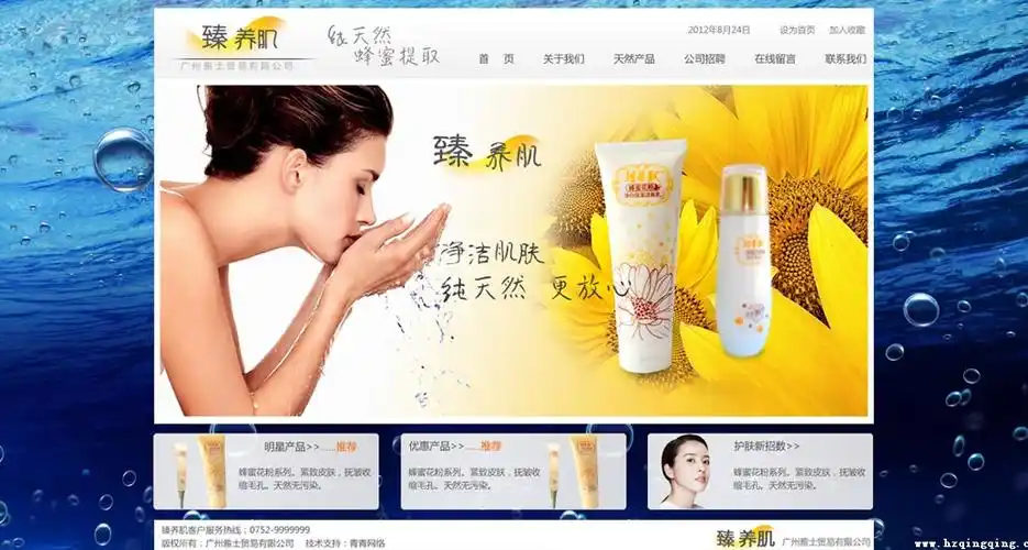 惠州网站SEO优化方案如何着手，哪些本地因素需优先考虑？