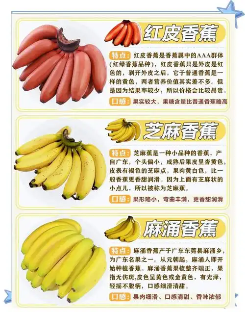 “seo香蕉”是什么，它真的能提升搜索排名吗？