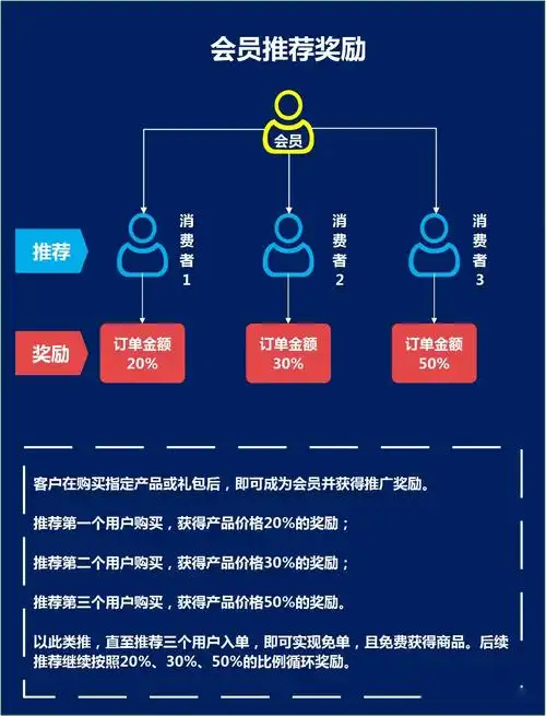 广东网站SEO策划如何精准落地？为何效果差异如此显著？
