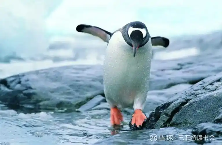 山西省SEO行业如何突破现状？未来增长点在哪？