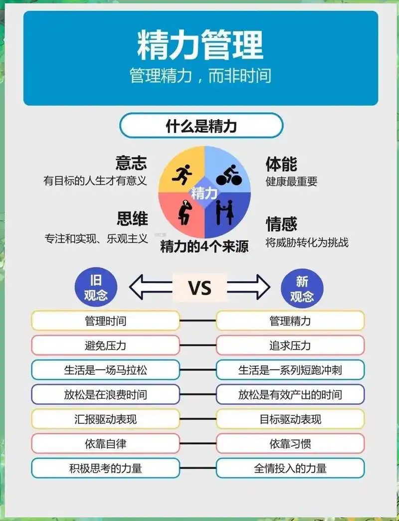 SEO中站内和站外优化哪个更重要，日常应该怎么分配精力？