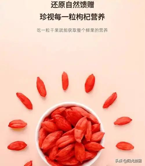 枸杞SEO怎么操作更有效？ 它的流量潜力到底有多大？