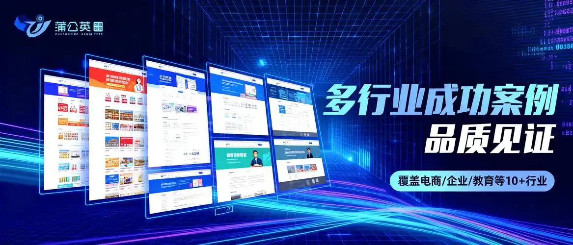 射阳的企业做网站SEO优化，该选哪家公司更靠谱？