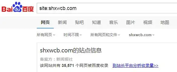 域名无法备案是否导致SEO失效？流量损失有多大？