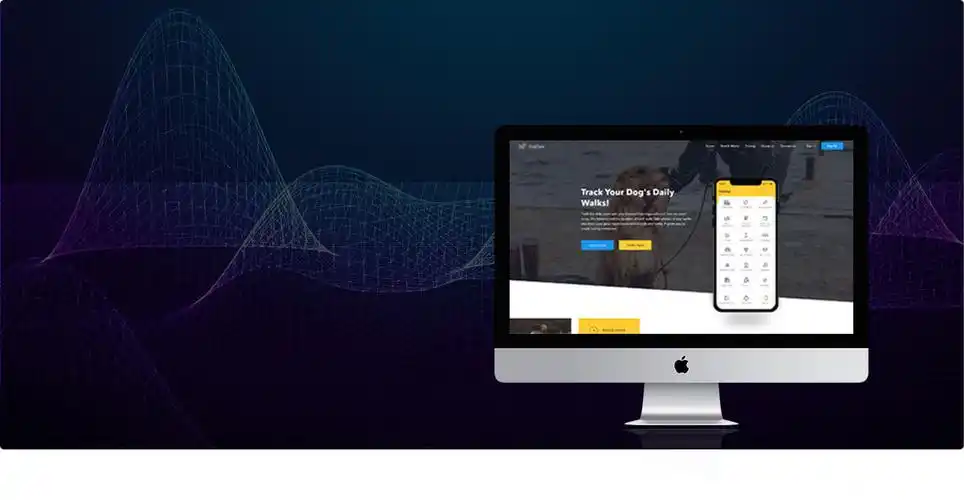 合肥SEO主管岗位前景如何？核心竞争力怎样养成？