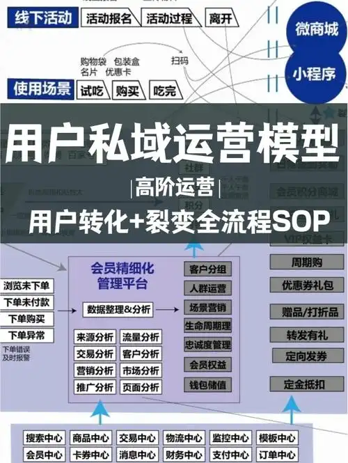 企业如何实现SEO与营销双向驱动？流量转化同步增长密码是什么？