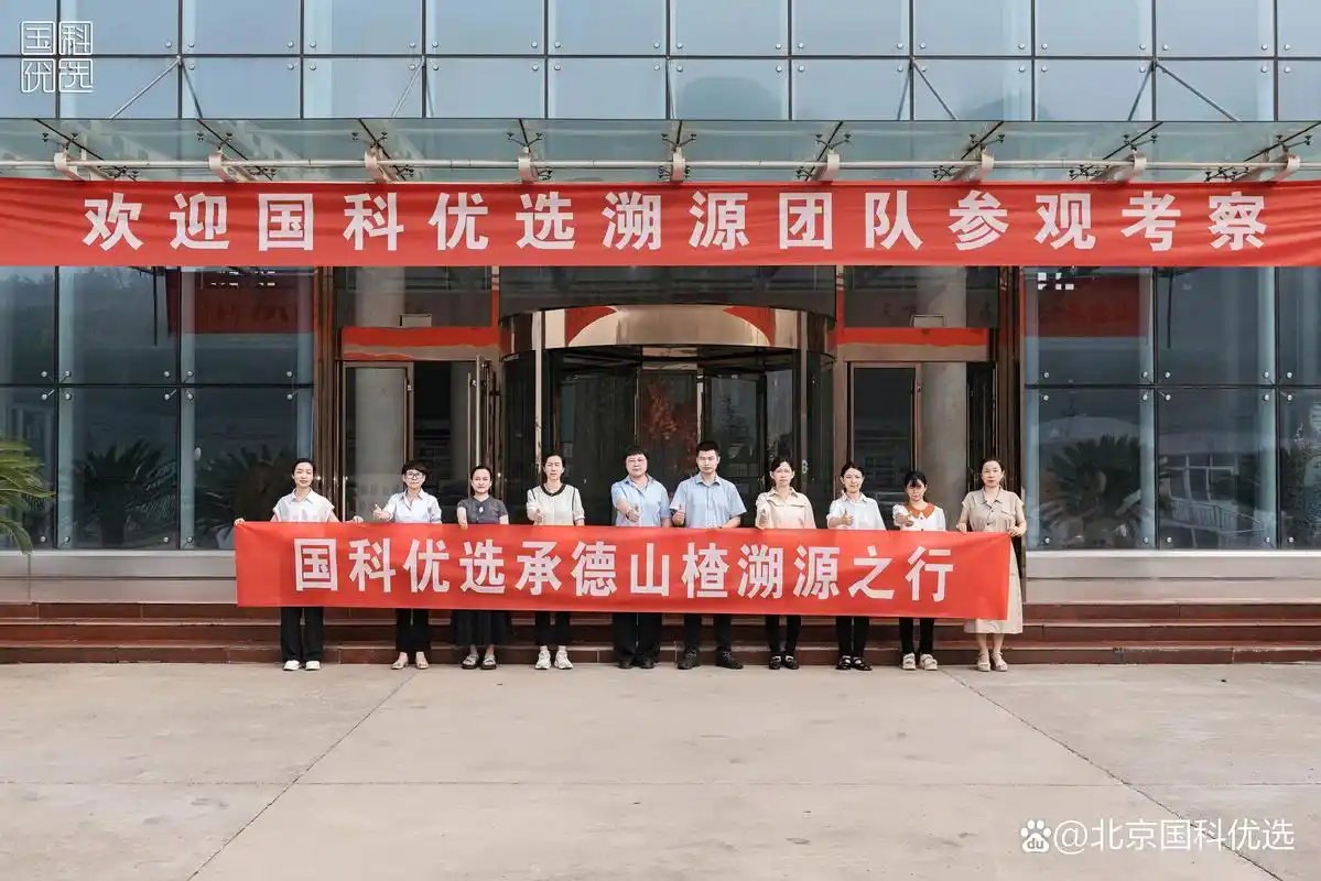 承德整站优化公司到底怎么选？如何判断他们的真实水平？