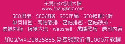 参加SEO培训海瑶课程真的有用吗？ 哪些人能通过她的培训获得实际提升？