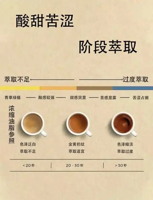 SEO美式咖啡需加水多少毫升？水温如何影响萃取效果？