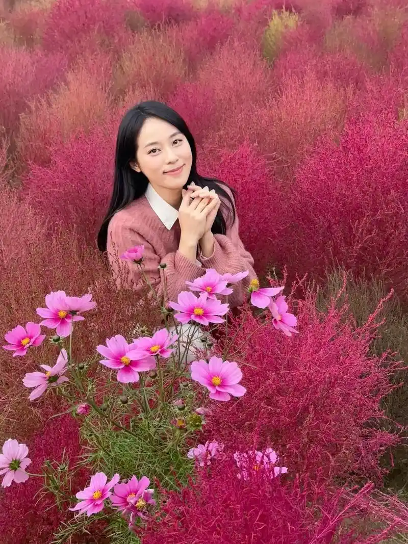 和seo妍公园敏京？能否延续夏日清爽风格再创经典