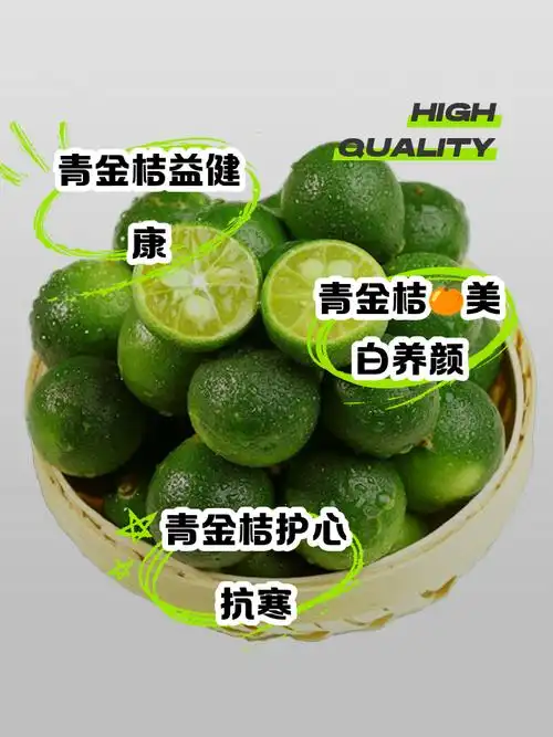 青桔SEO是什么？ 它和普通SEO做法区别在哪？