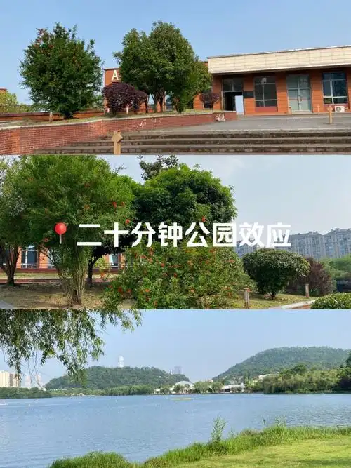 朝阳公园SEO效果不佳？低投入高曝光可能吗？