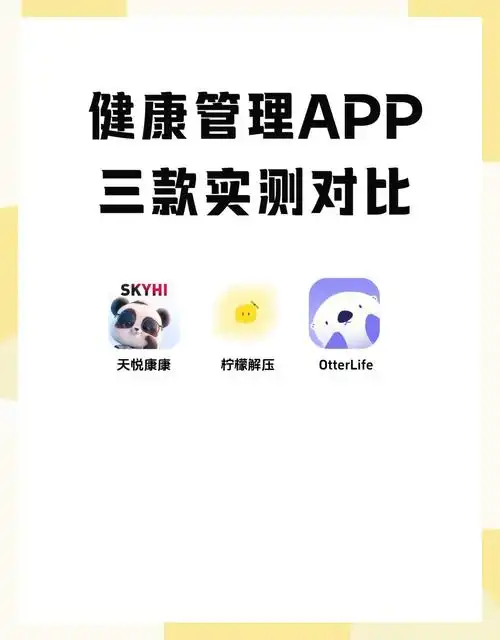 seo数据应该怎么分析，哪些指标能说明网站健康？