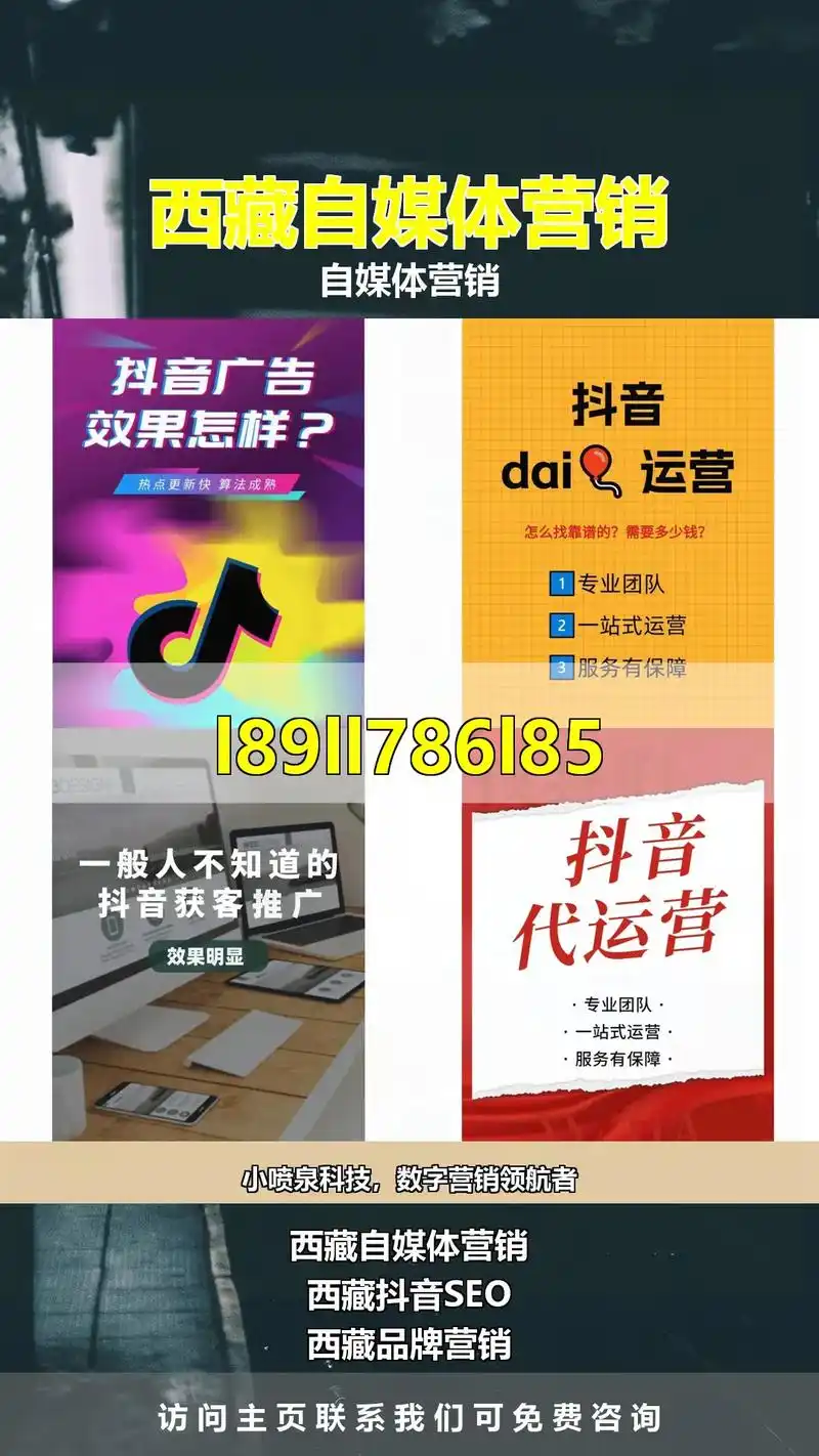 做西藏地区的网站推广，具体有哪些SEO方案？