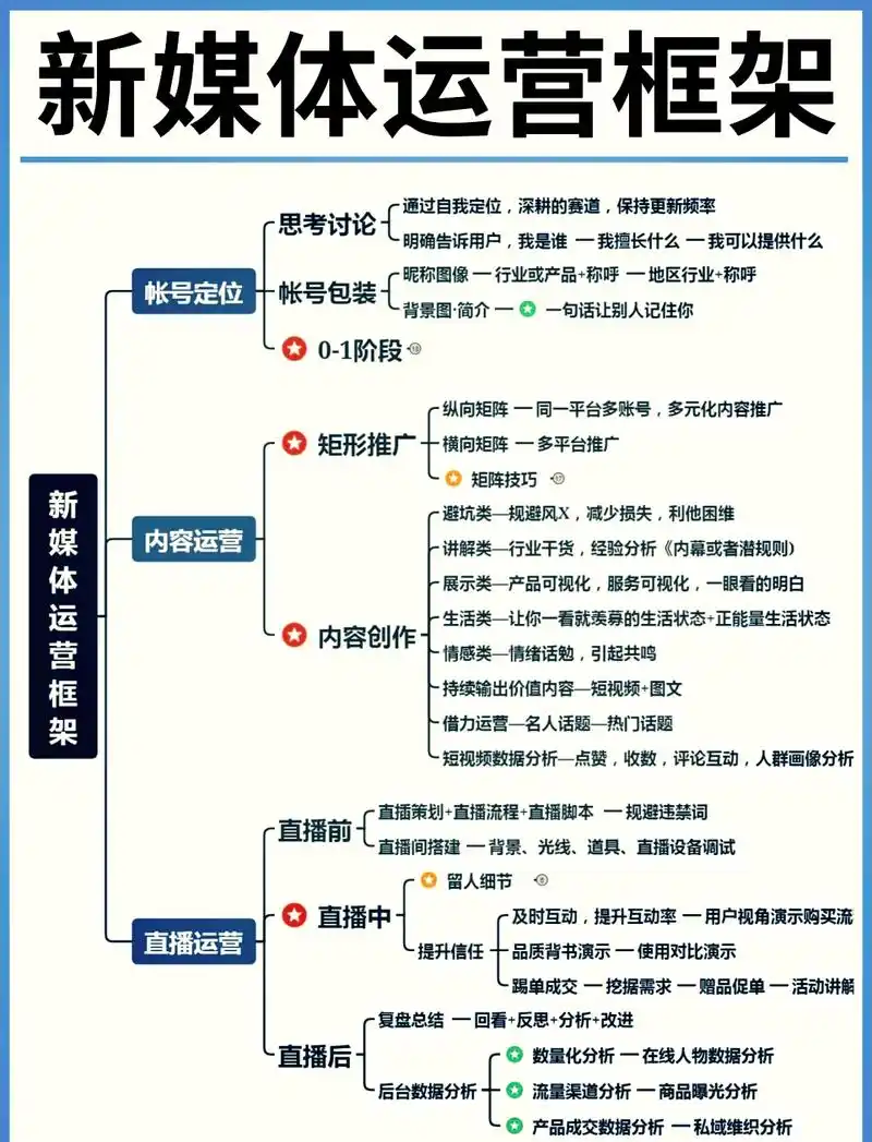 SEO网络营销具体有哪些常见分支和操作方向？
