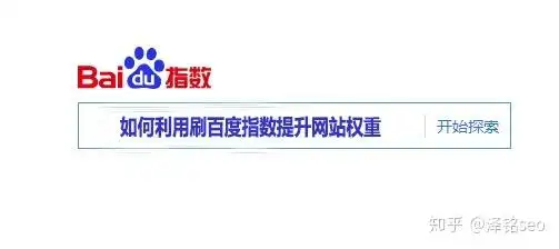 大地SEO论坛：为何排名波动难控制？真正影响权重的是什么？
