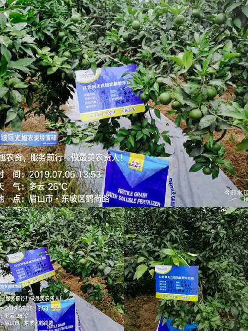 白城SEO公司是怎么做的，他们的服务能带来什么效果？