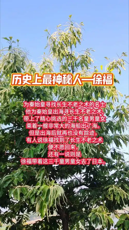 徐福 seo book讲了什么？ 它的内容对现在还有用吗？