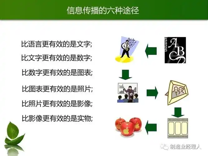 杭州正规SEO系统公司如何甄别？实战效果怎样验证？