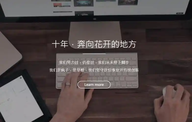 常德SEO厂商哪家更靠谱？ 怎么判断他们的实际效果？