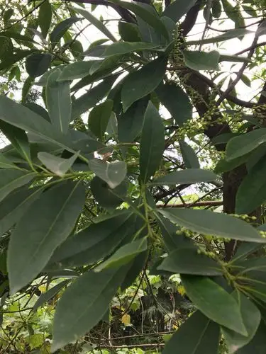 北京SEO讲师刘洪岩凭什么被关注？哪些讲法值得反复验证？