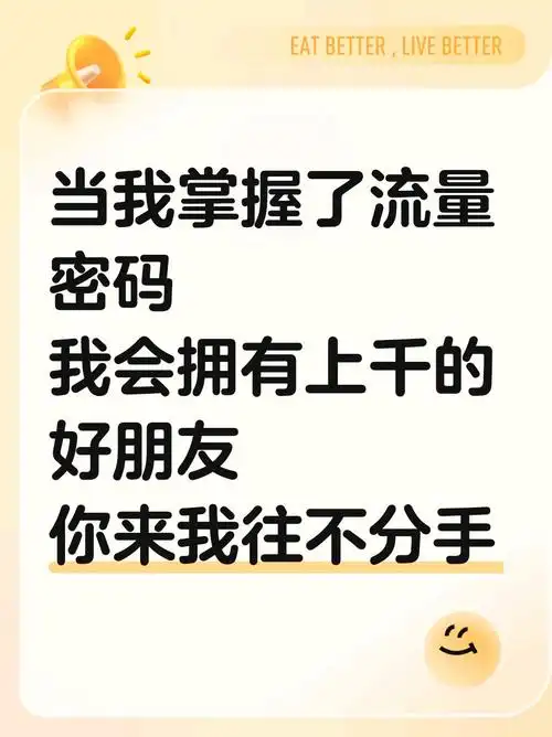 SEO王者归来？流量密码变了吗？