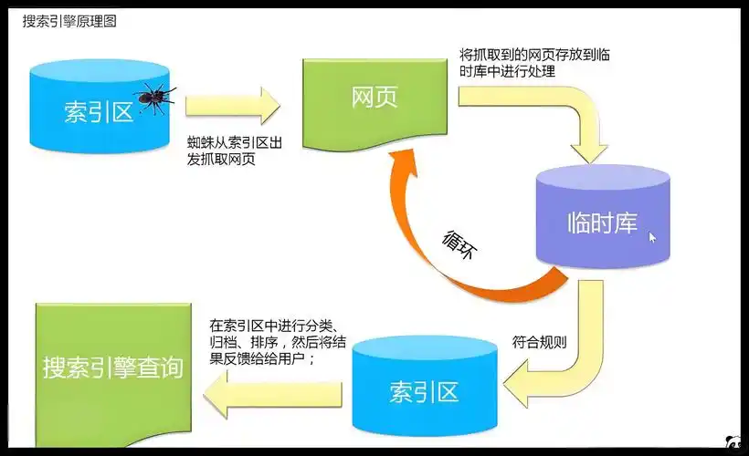 SEO蜘蛛抓取如何影响收录，怎样优化能让它更高效？