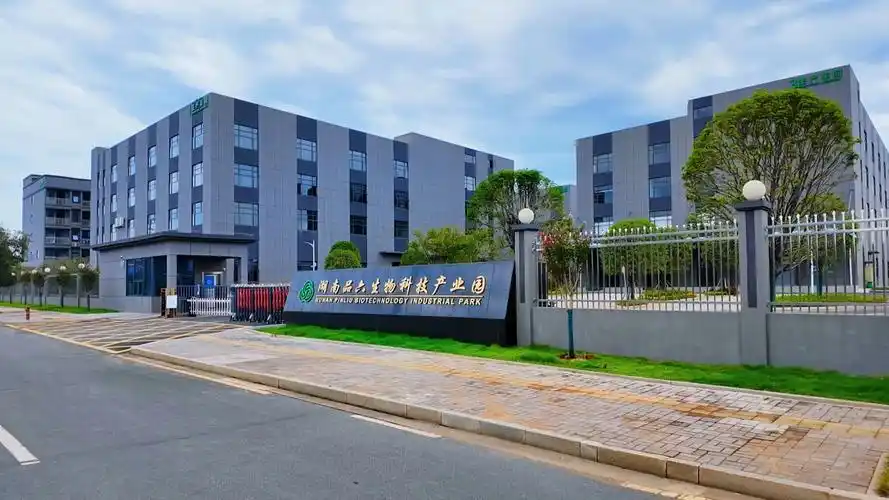 福州SEO源头直供？为何企业首选工厂直营？