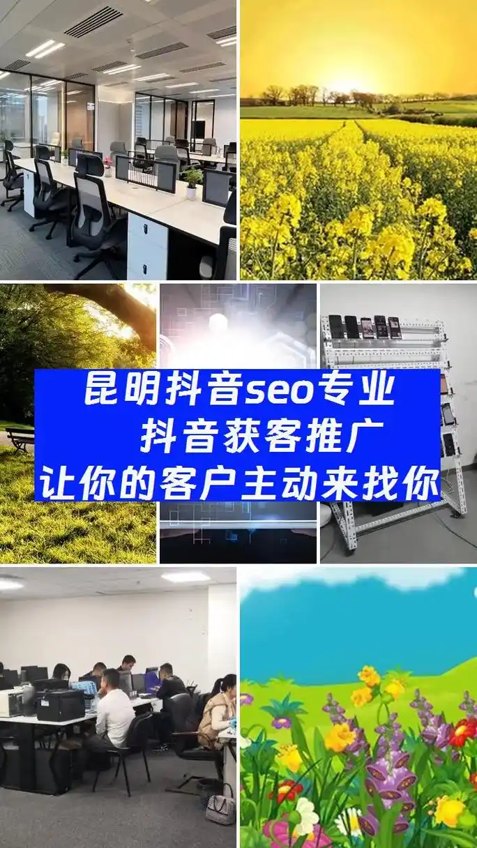 昆明抖音SEO公司哪家强？效果如何验证？