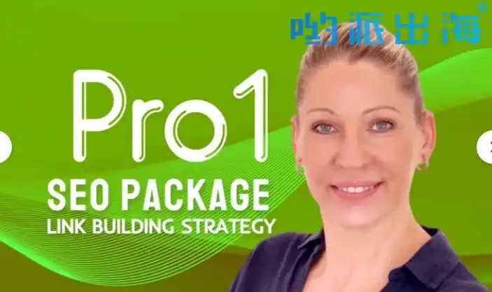 财富SEO教程网如何帮助新手入门？ 它的教程内容质量如何评判？