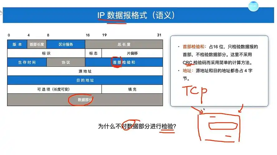 IP地址如何影响SEO排名？IP与网站权重存在必然关联吗？