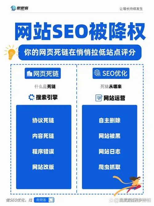 如何筛选SEO公司才不踩坑？哪类企业更有真实力？
