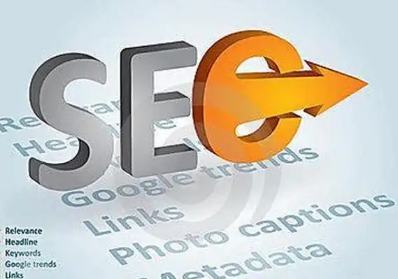 SEO自然优化是长期投资还是效率陷阱？