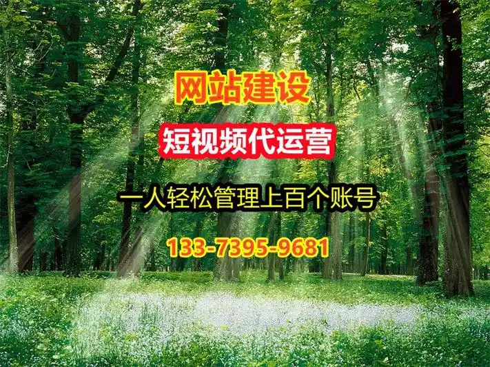 松原抖音SEO企业店怎么提升排名？ 本地流量怎么精准获取？