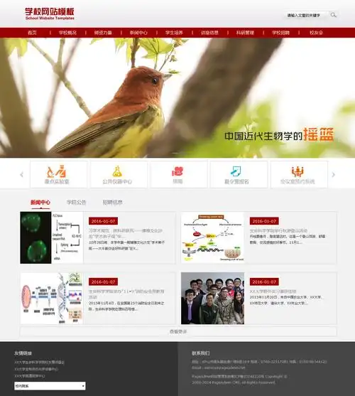 甘肃SEO服务为何非选企业级？专业效果怎样保障？