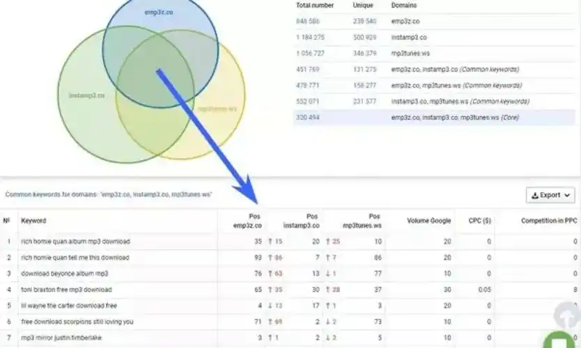 怎样精准锁定SEO专才？有哪些可靠筛选路径？