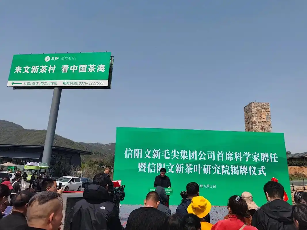 潜江茶叶SEO推广如何实现高排名？效果真的立竿见影？