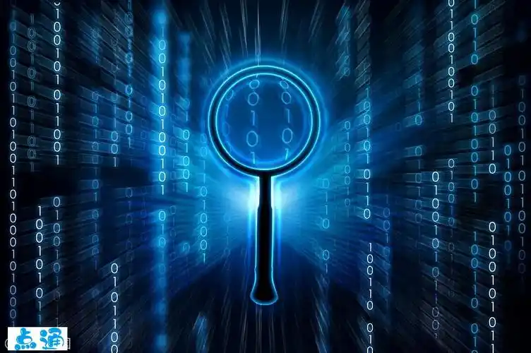 熊掌号seo优化到底指什么？ 它与普通网站优化区别在哪？