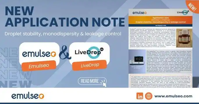 SEO系列活性剂怎么理解？它与普通SEO操作有什么不同？