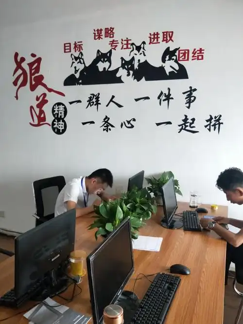 想找立水桥SEO服务，怎么判断好坏？ 哪些公司能真正提升效果？