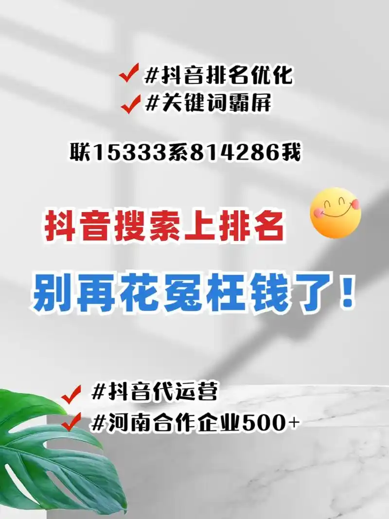 河南抖音SEO公司报价多少？ 如何判断收费是否合理？