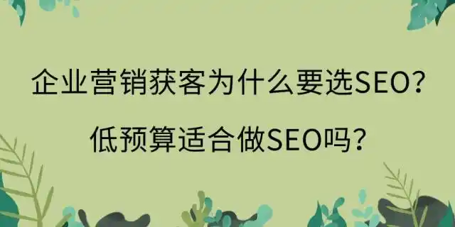 SEO系统大概费用怎么查？ 不同预算怎么选合适？