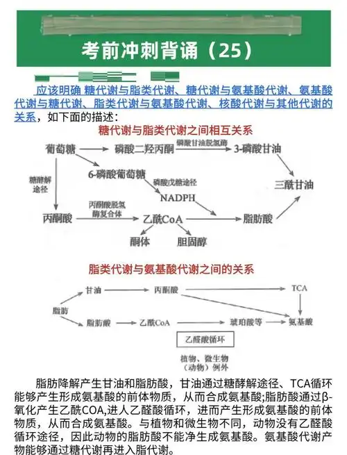 SEO2氧化羰基α位可生成酮？怎样实现精准转化？