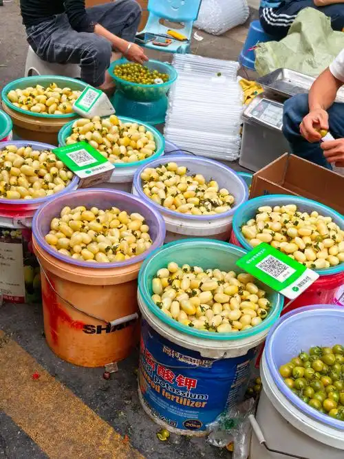 攀枝花SEO网站排名，为何总被对手压制？如何实现逆袭？