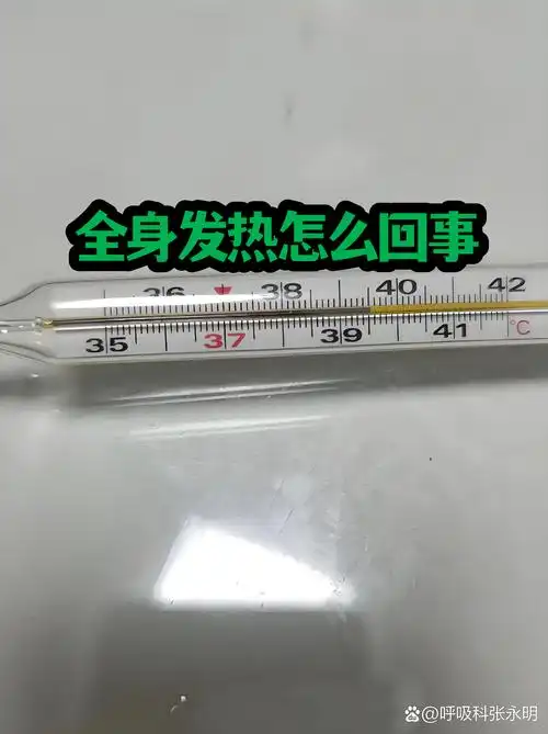 共享IP对SEO有何影响？ 如何判断它是否伤害了我的网站排名？