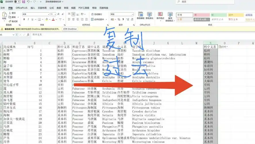 什么是SEO重复页面，它具体是怎么影响网站排名的？