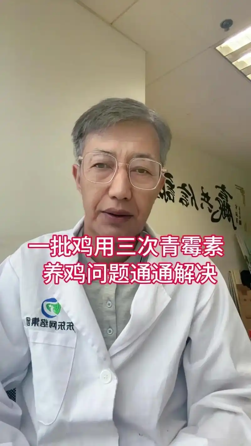 什么是“小鸡seo”？ 它能解决哪些实际问题？